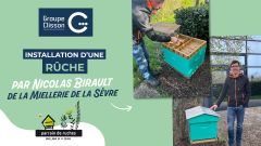 Le groupe Clisson est “parrain de ruche”...